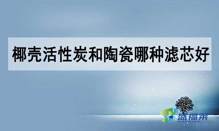 椰殼活性炭和陶瓷哪種濾芯好？如何選擇？